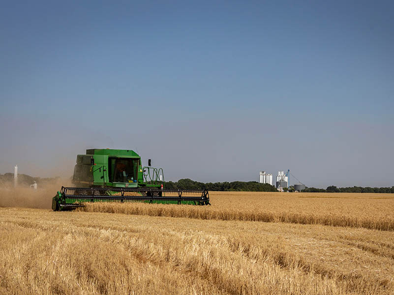 A wheat field with a combine.