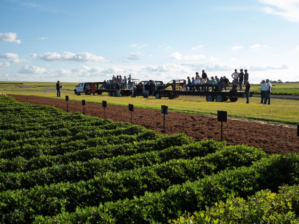 A group gathered on flat bed trailers around a planted field.