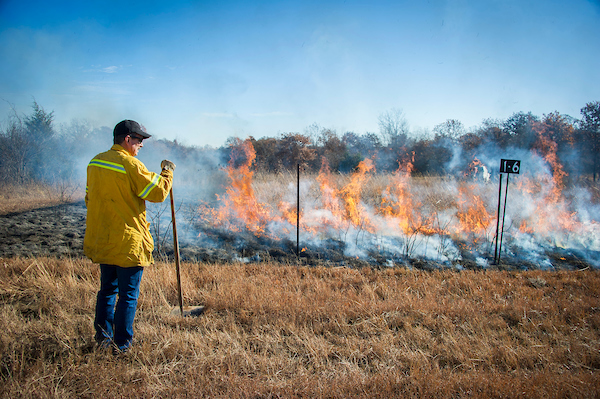 A firefighter supervising a prescribed burn.