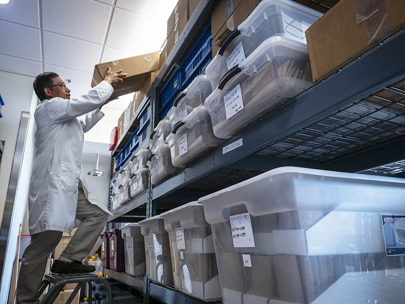 Faculty researcher looking through plant samples in a storage space at the facility.