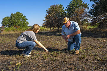 Patch burning a potential cost saver for supplemental feed