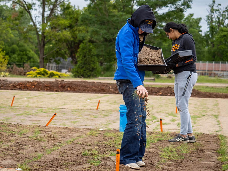 Graduate students sprinkle turfgrass soil at the OSU turfgrass fields.