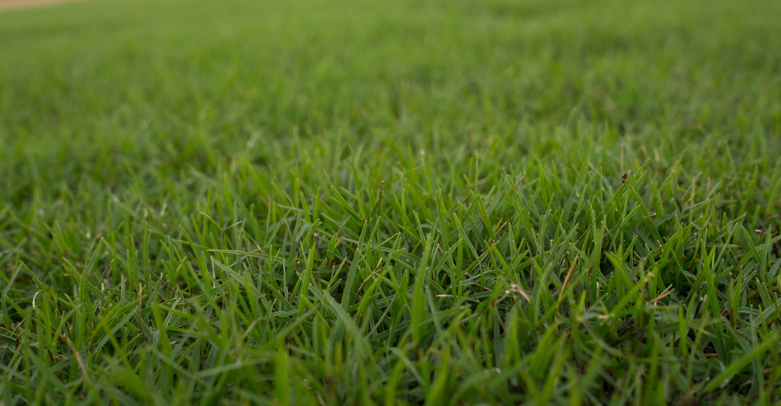 Southern landgrant universities making turf fields safe Oklahoma