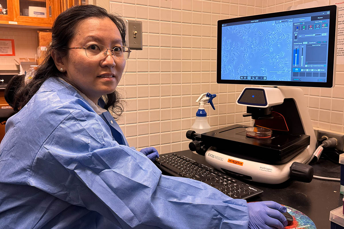 Xia Lei sitting at her computer with an image of fat cells on the computer screen