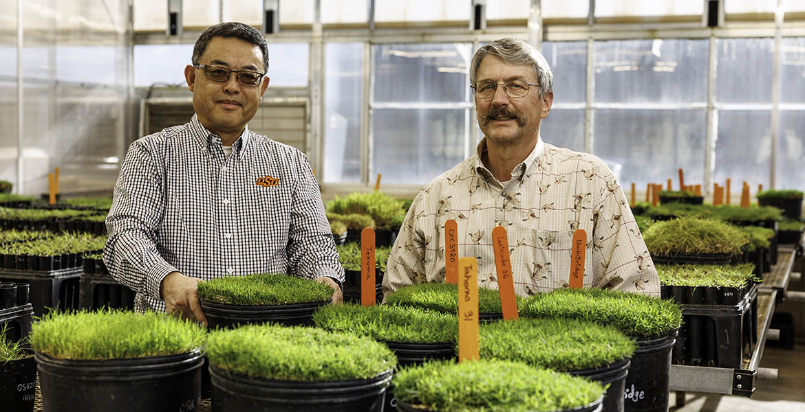 Yanqi Wu and Dennis Martin with popular Oklahoma State University trufgrass varieties