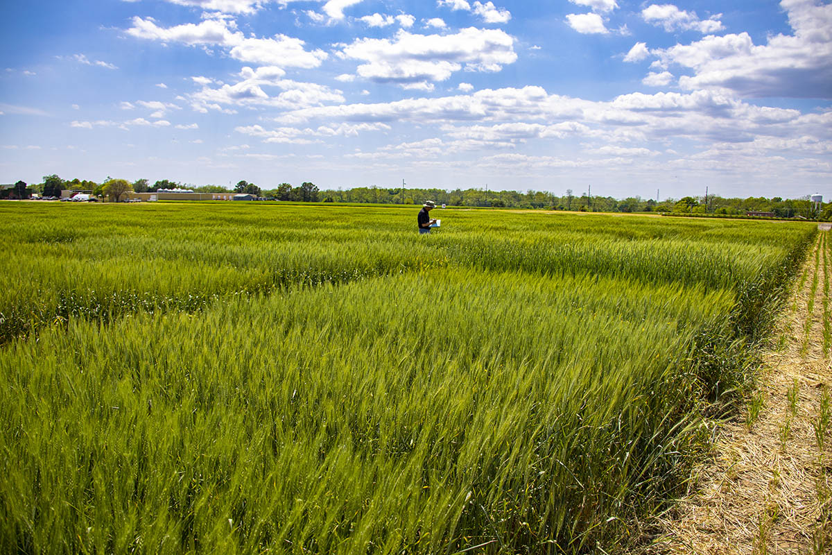 Brett Carver conducting research in field.