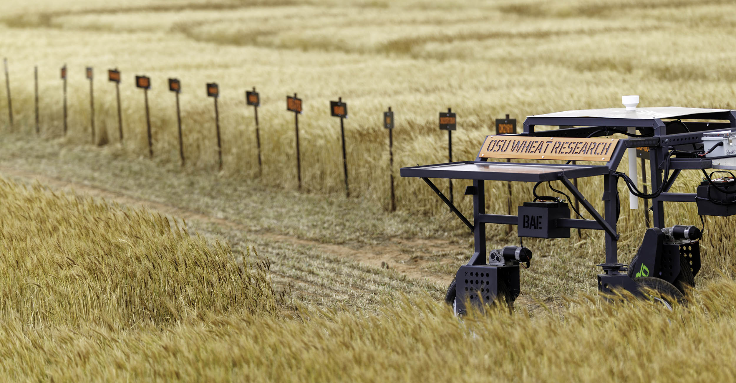 OSU Agriculture is part of a national initiative to make food healthier
