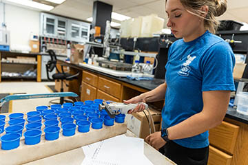 A female laboratory technician in a blue shirt uses a hand-held dispensing pump tool to add water to soil samples in small blue cups lined up in a styrofoam tray.