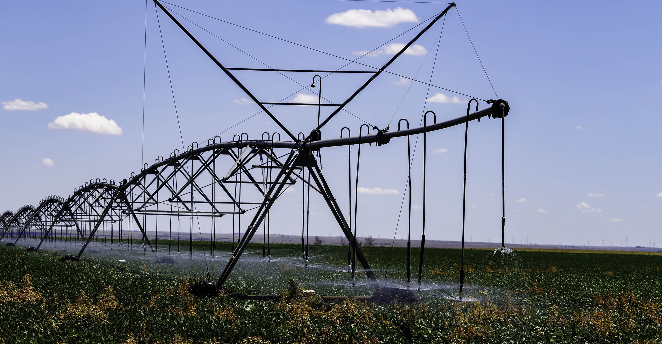An irrigation sprinkler sprayign water in a crop field