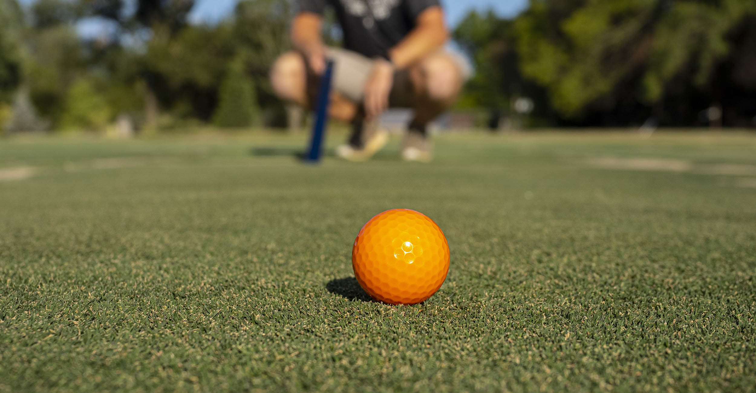 Image of a bright orange golfball on green turfgrass.