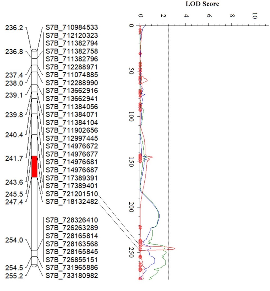 The linking map for QYr.Stars-7BL.
