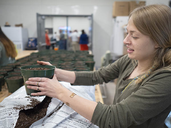 An undergraduate student working with plants in a green house.