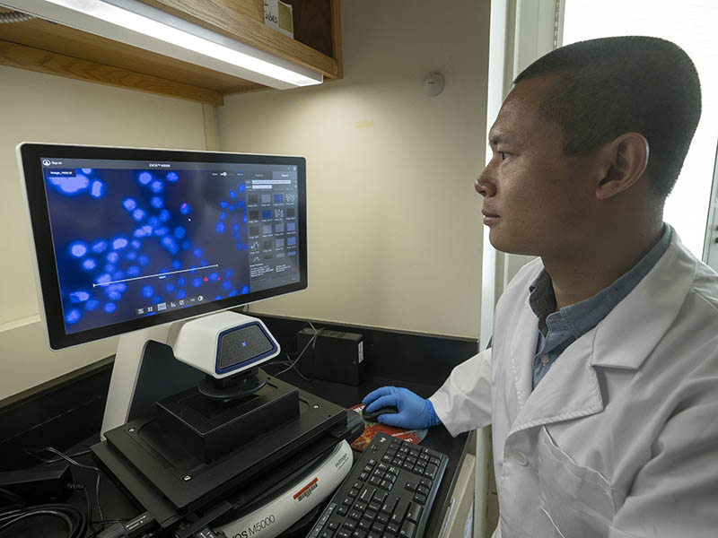 2022-tb-research.jpg Yong Cheng studying molecules on his computer
