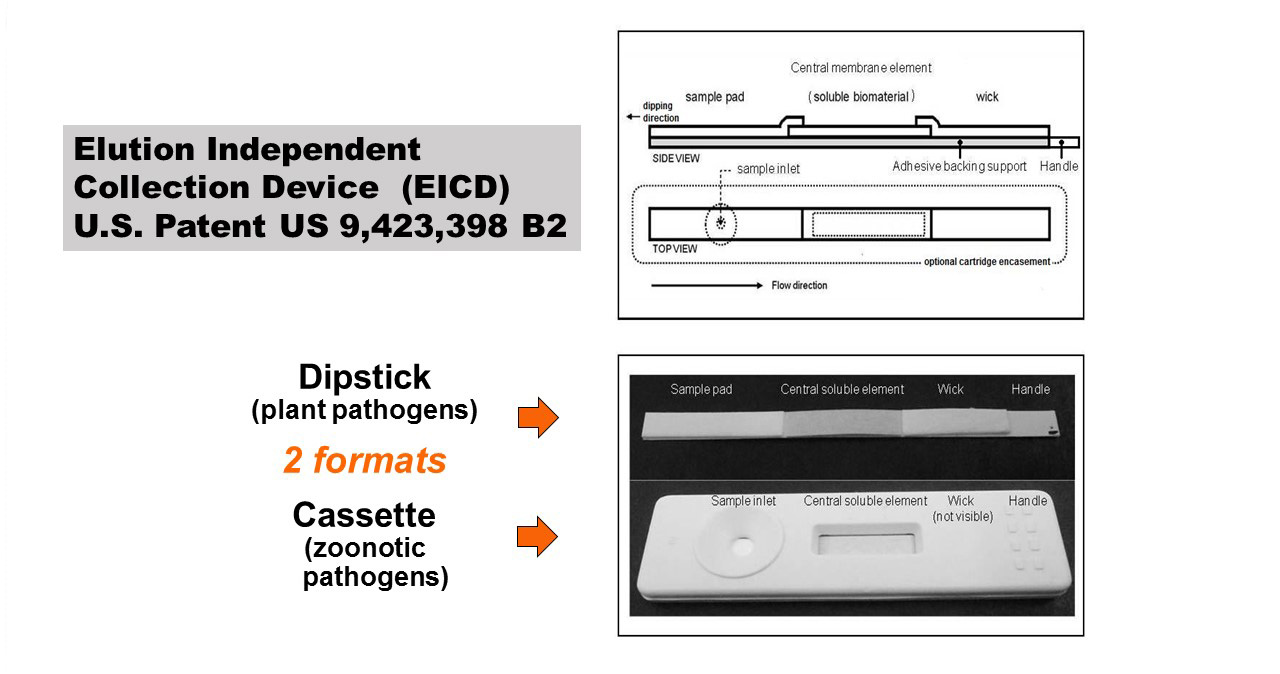 Elution Independent Collection Device Patent Elution Independent Collection Device Patent