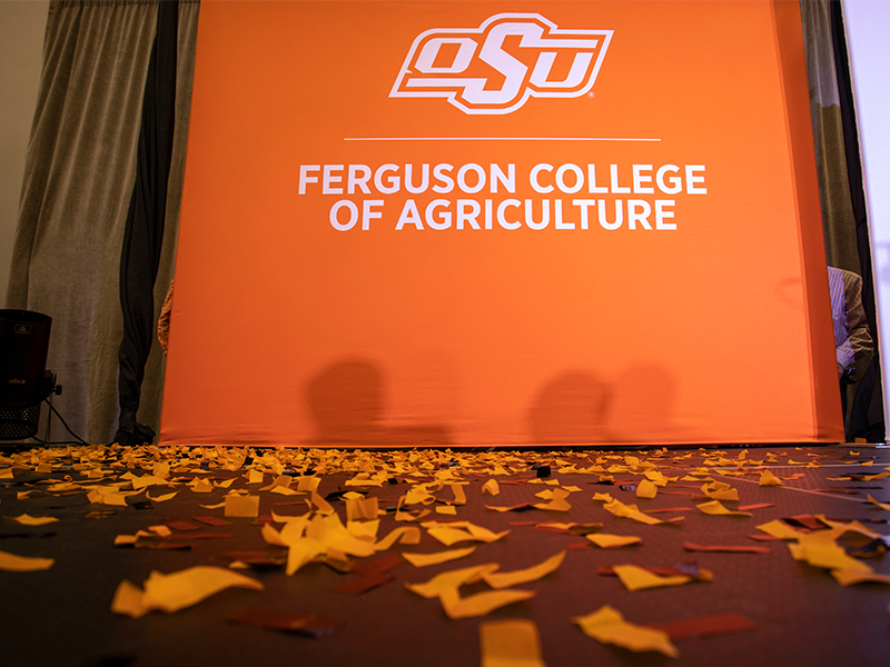 Orange Ferguson College of Agriculture Banner. Orange Ferguson College of Agriculture Banner.