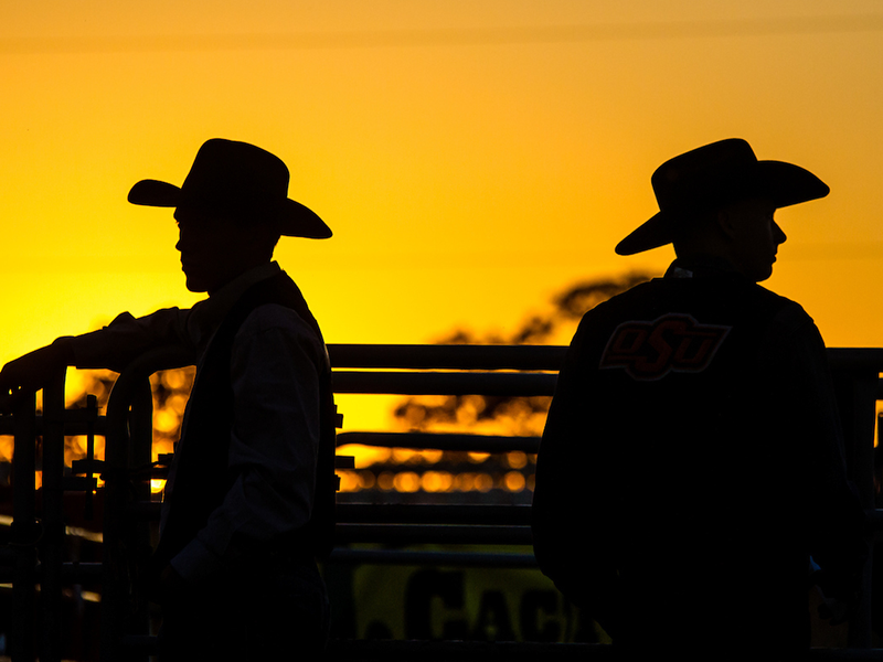 Silhouette of two cowboys during sunset. Silhouette of two cowboys during sunset.