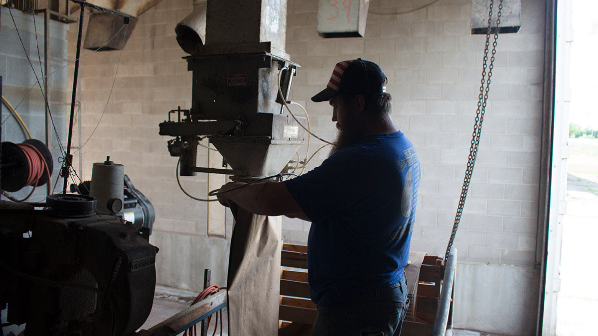 A feed mill staff member filling a feed bag.