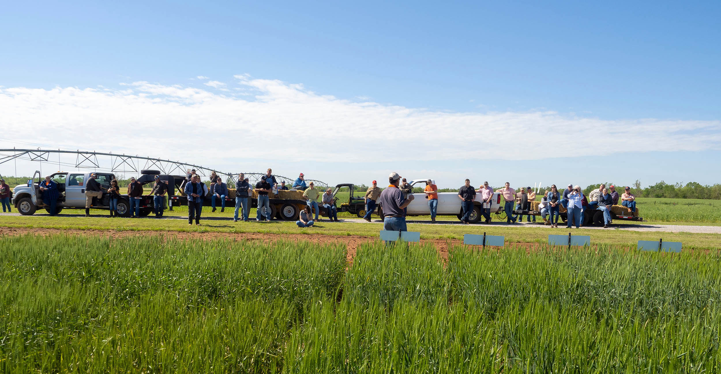 2022-crop-production-clinic.jpg Participants in an agricultural field at a field day event.