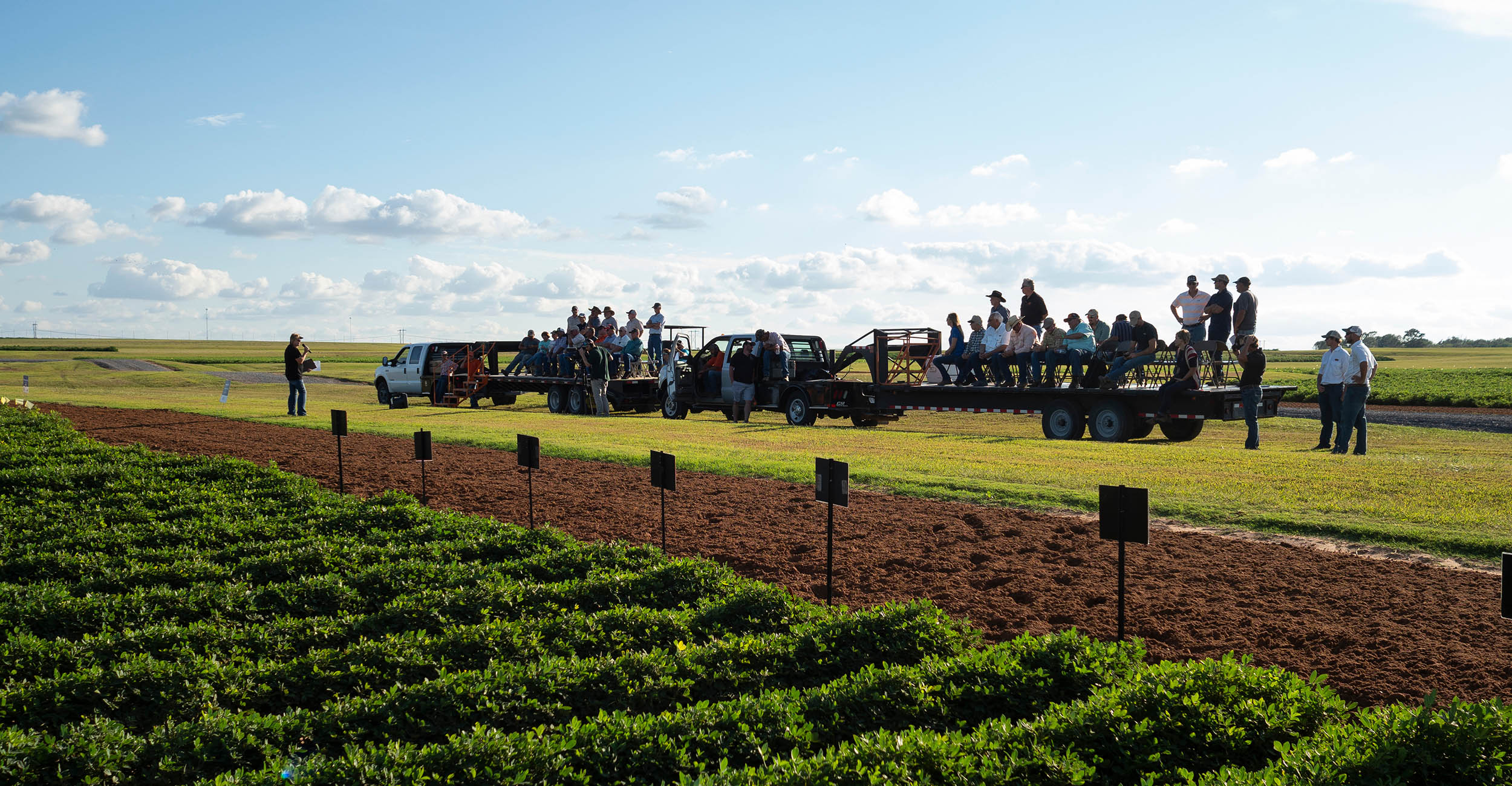 Participants out in a crop field at a Field Days event.