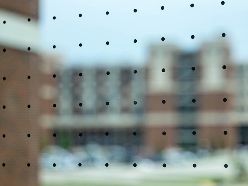 Window with Feather Friendly tinting on it.