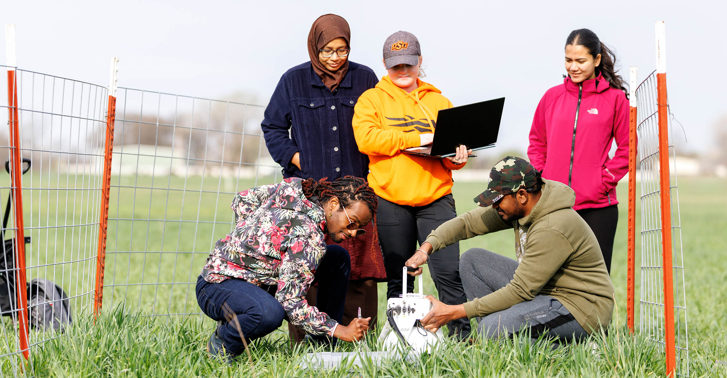 A group of five students prepare the chambers for capturing greenhouse gas emissions in a wheat field.