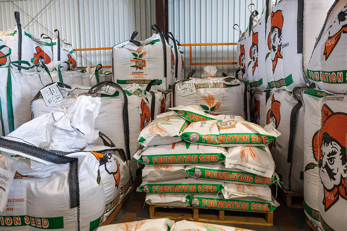 Bags of seed at the foundation seed stocks facility Bags of seed at the foundation seed stocks facility