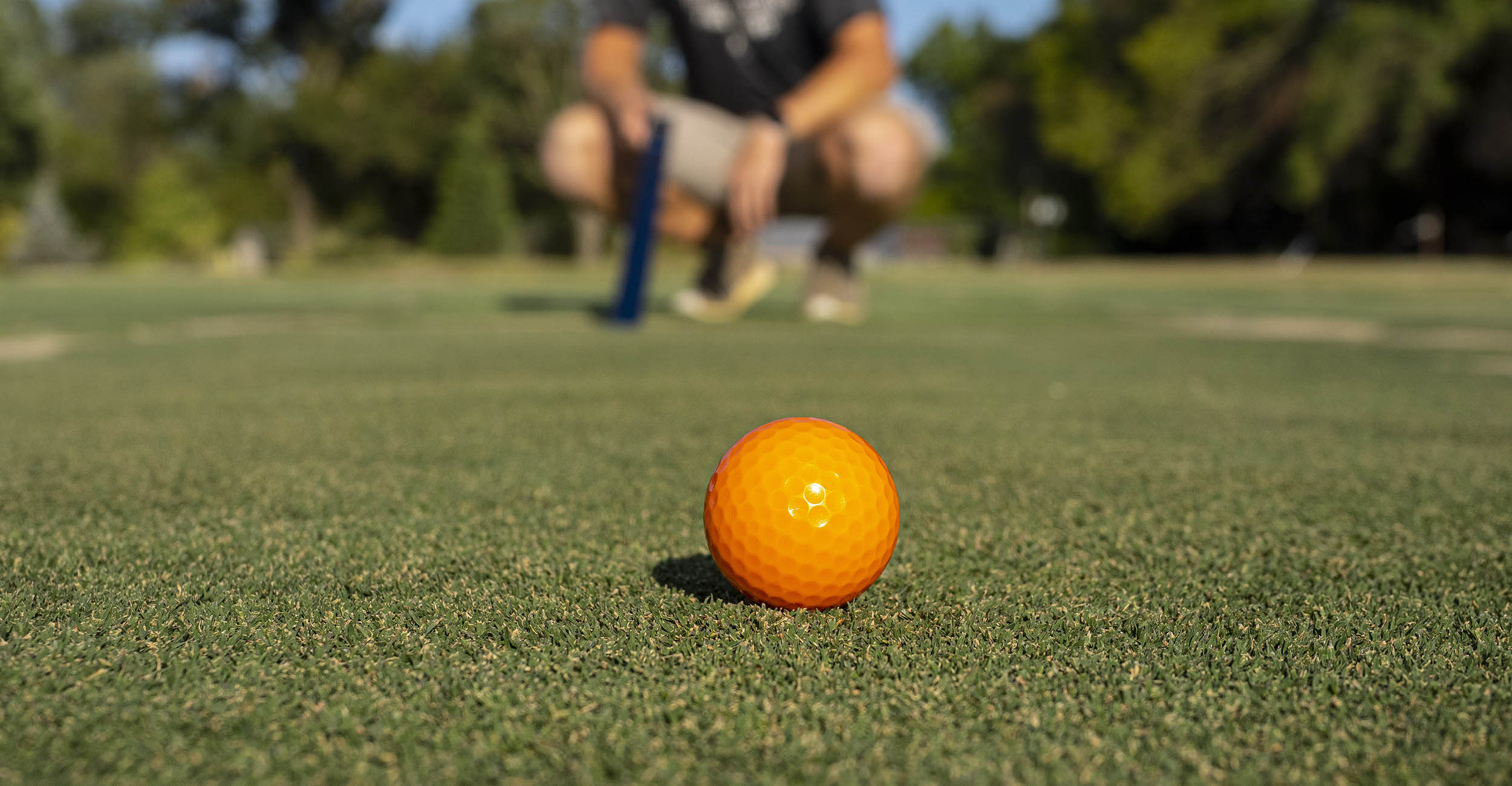 A bright orange golfball on green turfgrass.