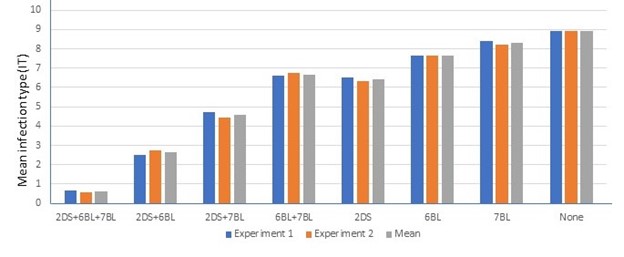 A chart showing leaf rust resistance from experiment 1, 3 and the mean.