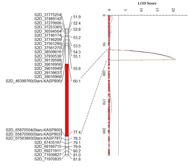 Data for leaf rust resistance