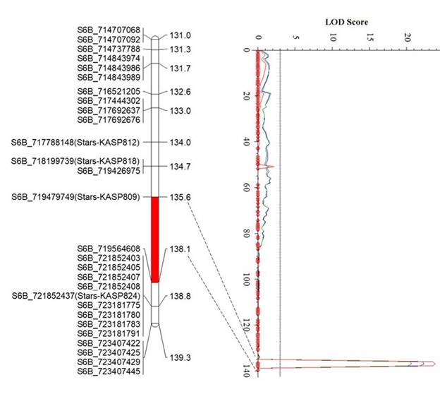 Data for leaf rust