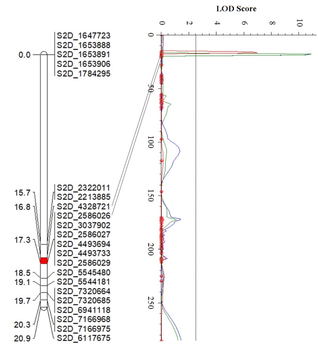 The linking map for QYr.Stras-2DS.