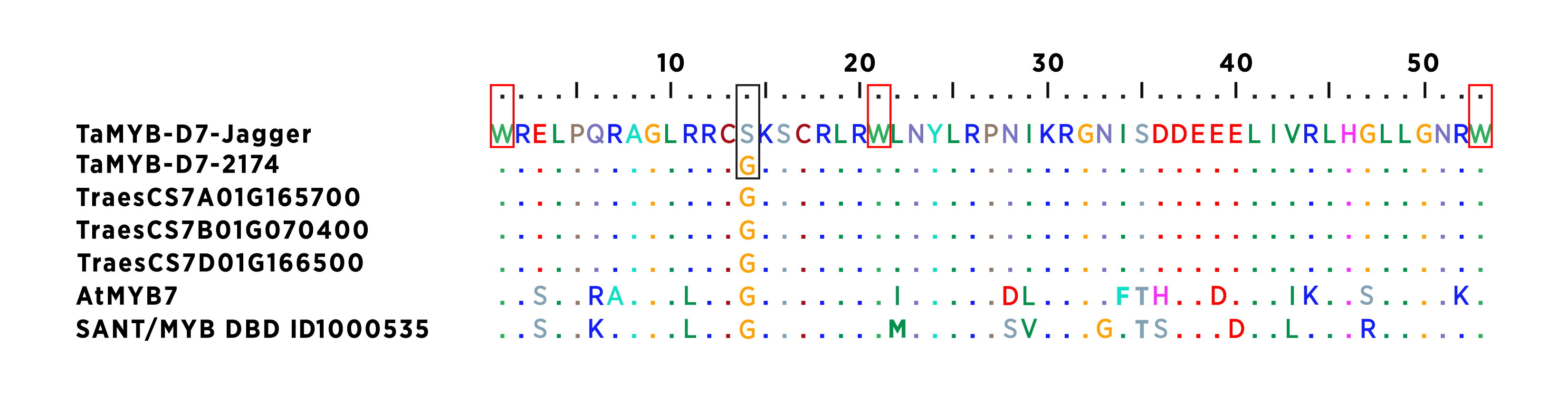 figure-1.jpg Data sequences for TaMYB-D7.