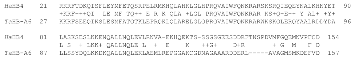 The comparison of the DNA and protein sequence for HaHB4 and TaHB-A6. The comparison of the DNA and protein sequence for HaHB4 and TaHB-A6.