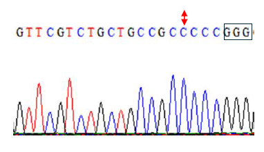 Data for TaE3V1 gene showing an arrow pointing up and down to a C and the last three G's wrapped in a box. Data for TaE3V1 gene showing an arrow pointing up and down to a C and the last three G's wrapped in a box.