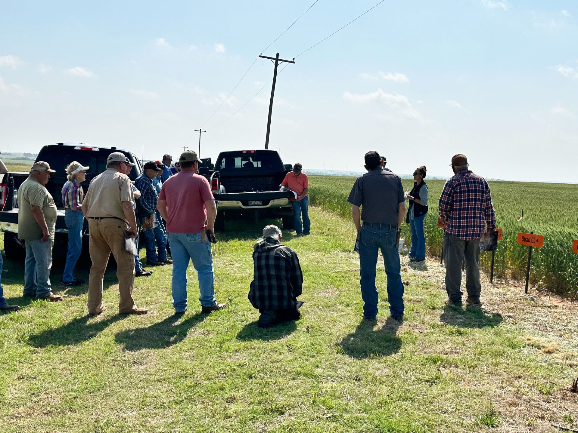 A group of people are standing around trucks in front of an OSU Wheat Plot listening to a speaker as she stands in front of the field.