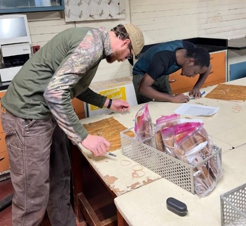 A person observing wheat samples on a table.