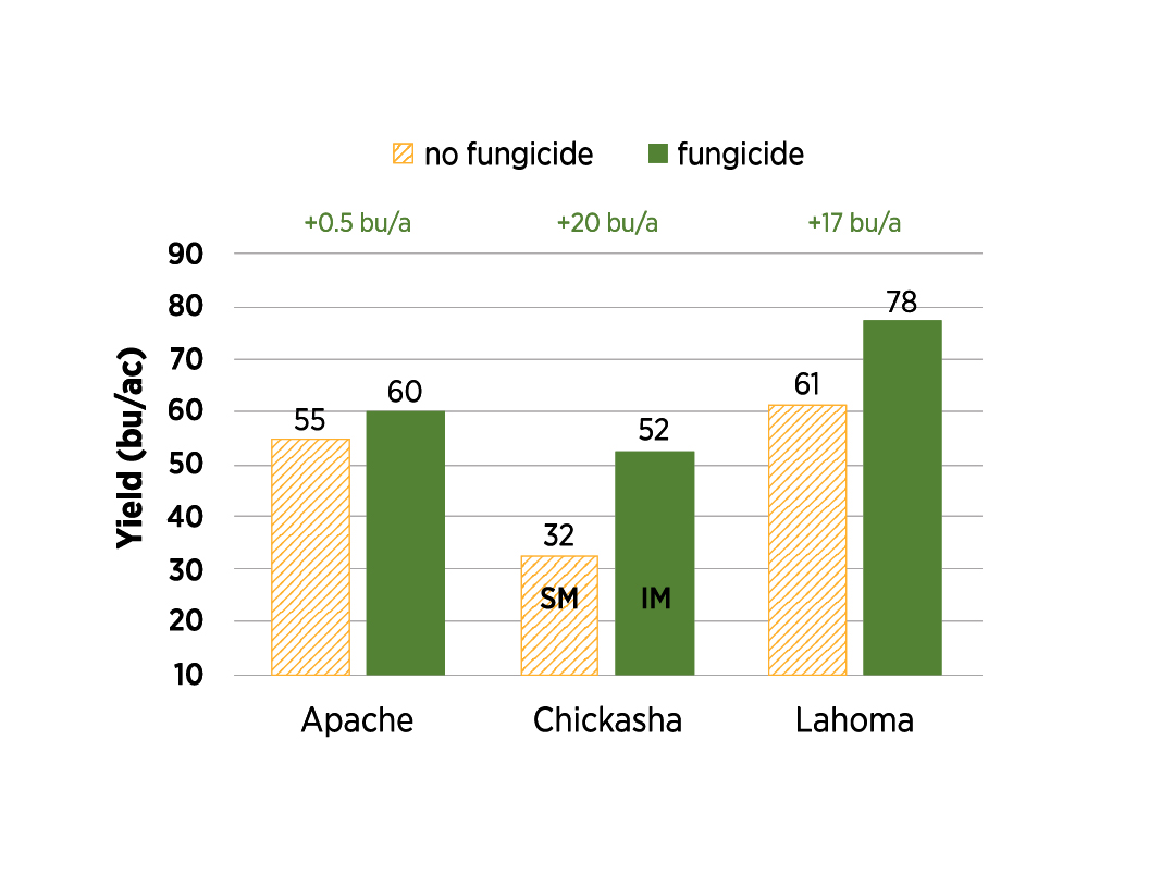 A bar chart of fungicide vs no fungicide data.