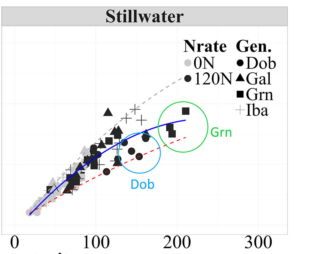 The grain yield and total N accumulation data in Stillwater.
