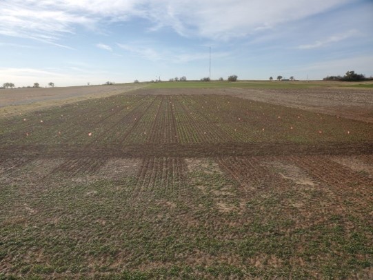 A brow/green field with plough tracks and a blue sky.
