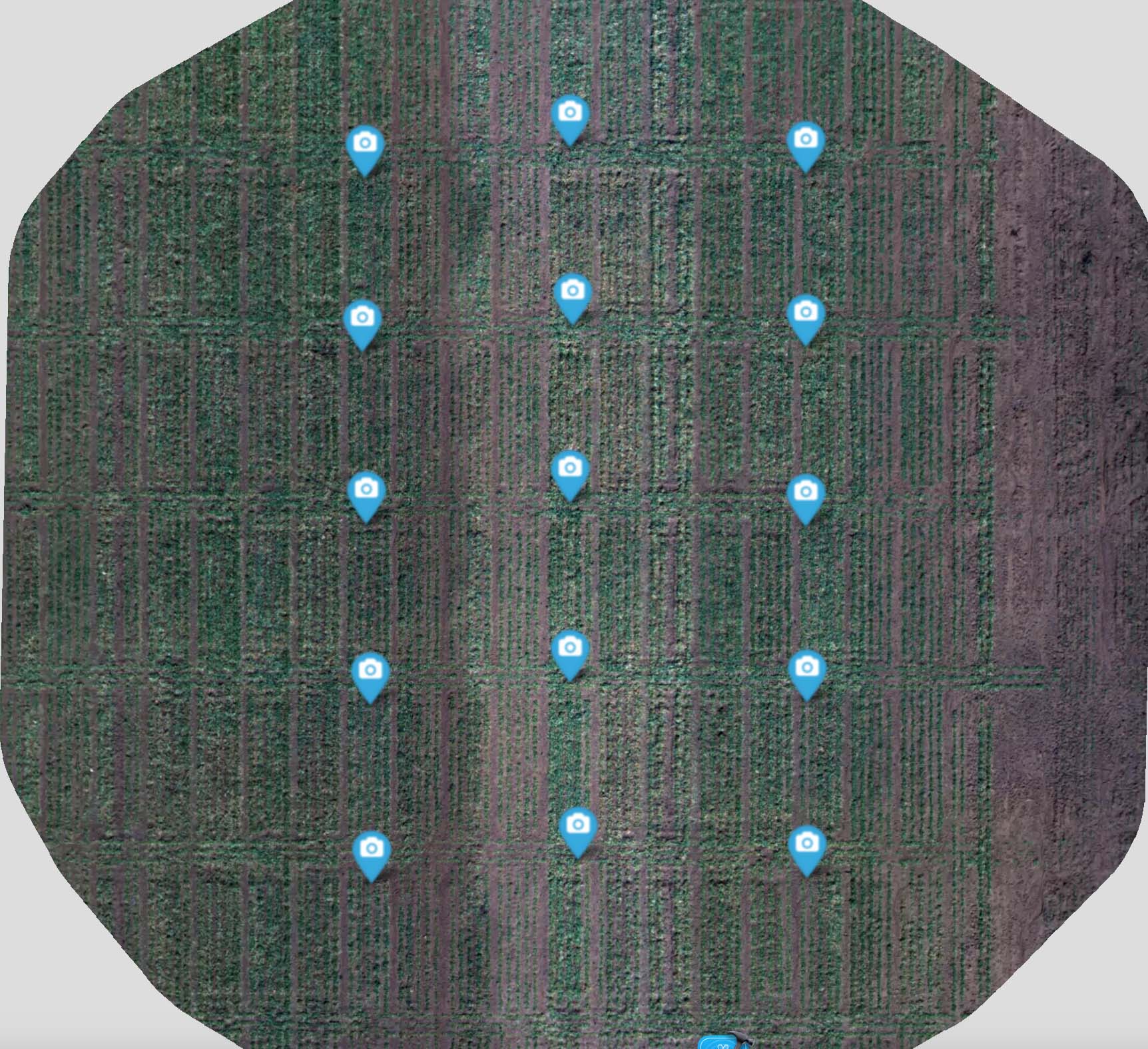 Blue GPS icons sitting on a photo of a field.