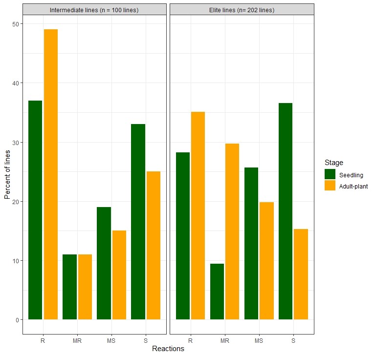 A bar graph showing the leaf rust reaction of OSU breeding lines at seedling and adult plant stages showing the Percent of Lines from 0-50 in integers of 50 and reactions of R, MR, MS and S.