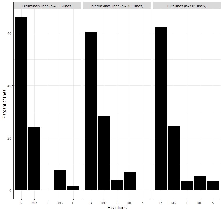 A table showing the Preliminary ilnes(n=355 lines), Intermediate lines (n=100 lines) and Elite lines (n=202) with the percent lines of 0-60 in intervals of 20 and the Reactions of R, MR, I, MS and S.