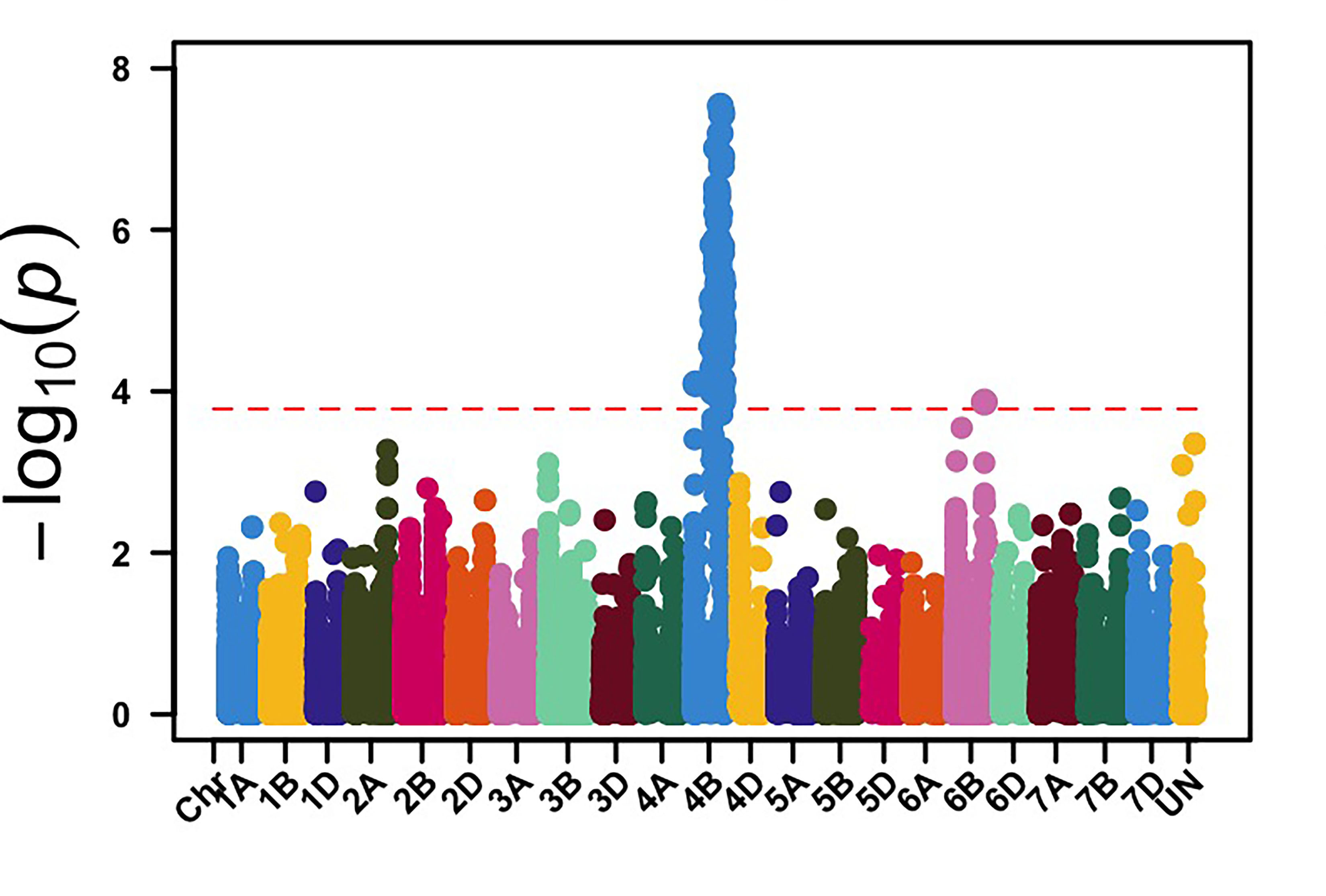 Genome-wide association mapping identified genomic regions on chromosome arms 3BS and 4BL associated with stripe rust data for Pullman, WA.