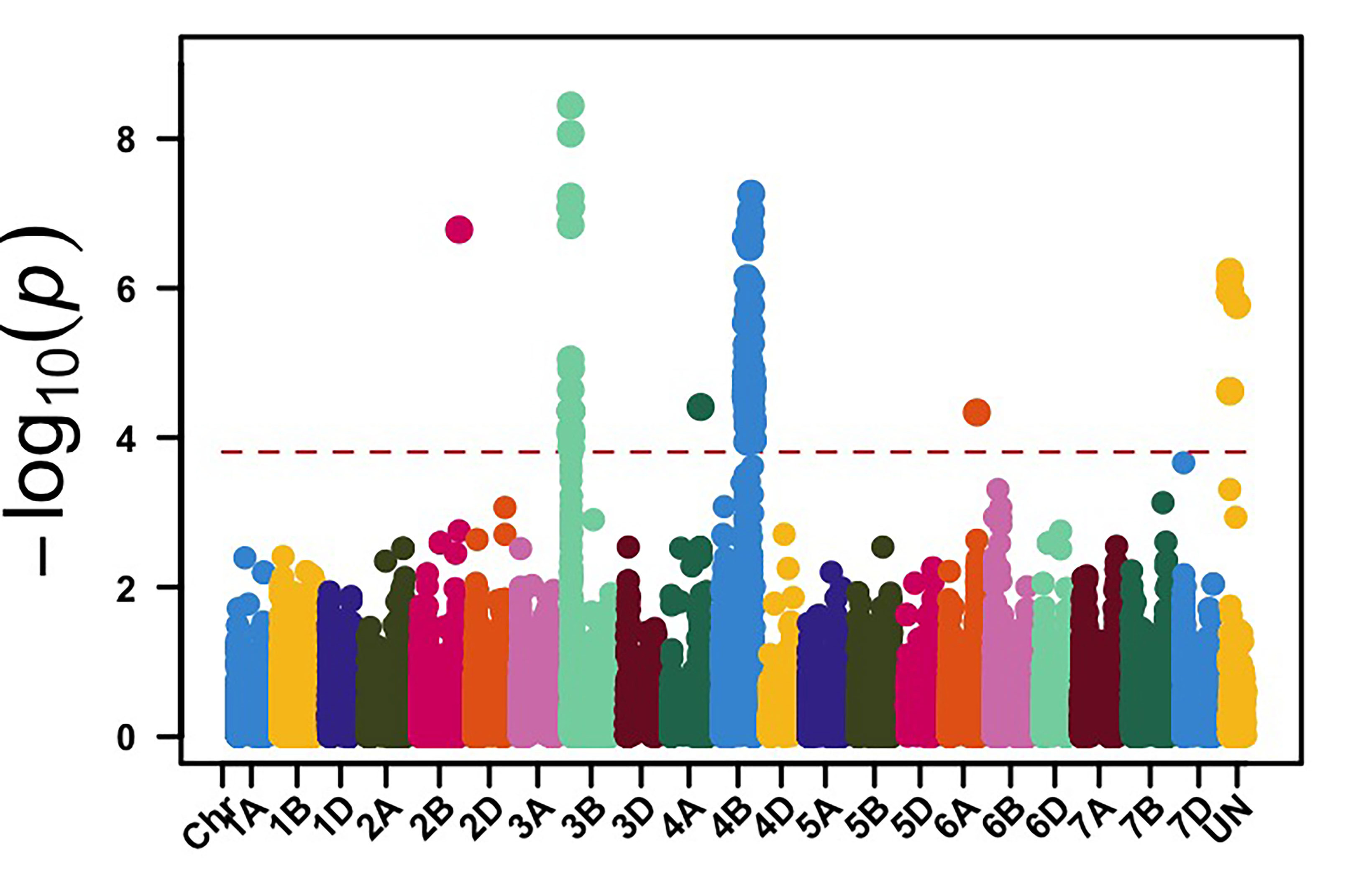 Genome-wide association mapping identified genomic regions on chromosome arms 3BS and 4BL associated with stripe rust data for Central Ferry, WA.