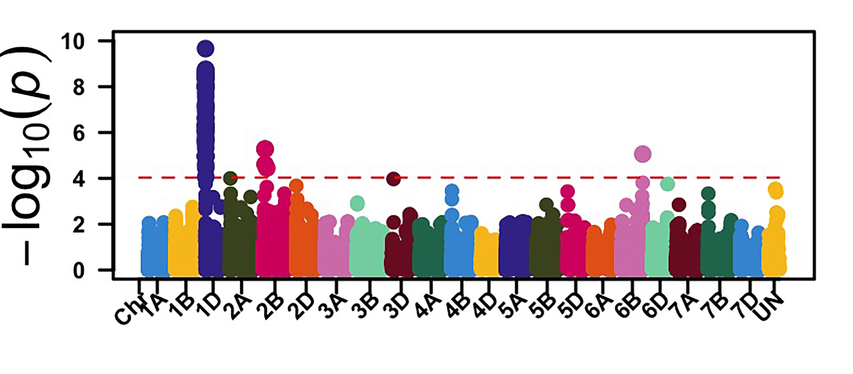 Genome-wide association mapping identified genomic regions associated with leaf rust response at the seedling stage against race MNPSD.