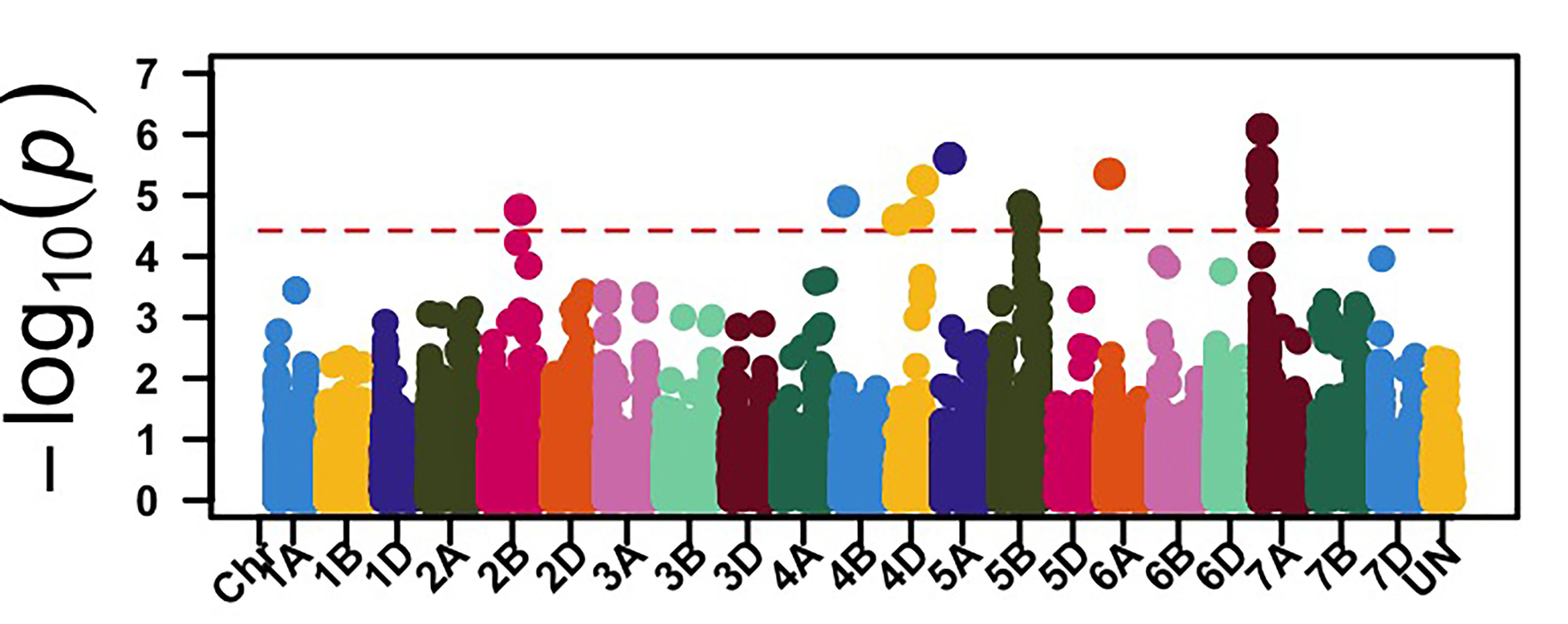 Genome-wide association mapping identified genomic regions associated with leaf rust response at the seedling stage against race and the adult plant stage in the Stillwater field in 2023.