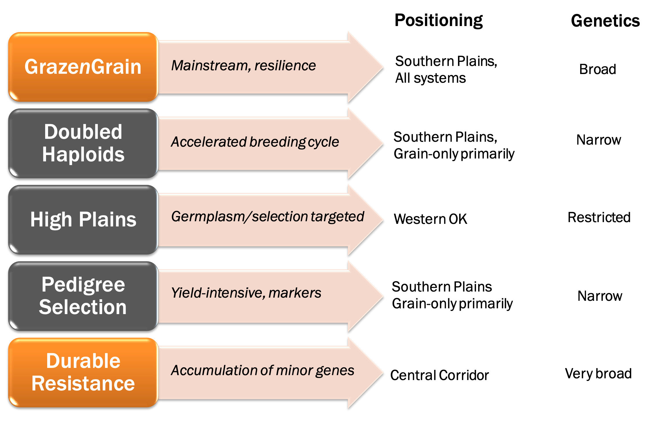 The OSU wheat variety development pipeline is actually five pipelines, with more under design or construction. Each pipeline is built from pools of germplasm varying in genetic breadth. Each pipeline produces independent sets of progenies with different adaptation patterns for optimal positioning at the time of release.